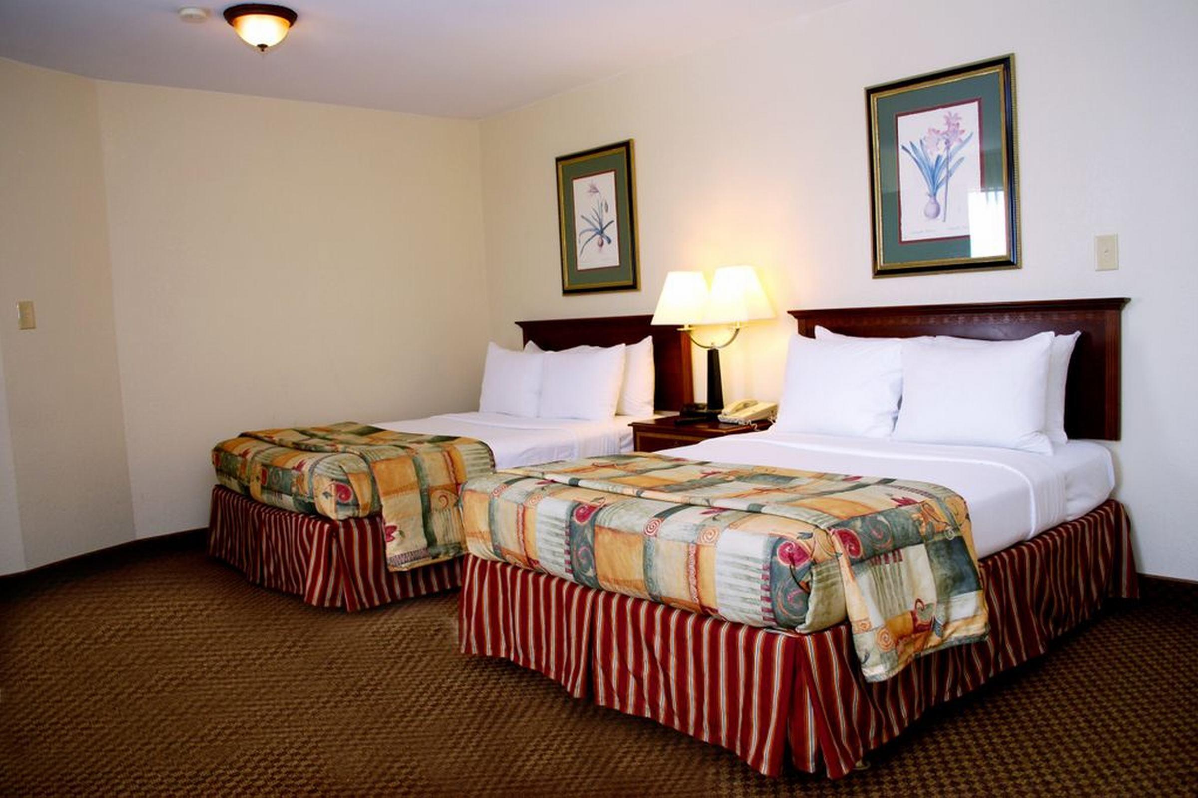 Clarion Inn & Suites Atlanta Downtown Zewnętrze zdjęcie