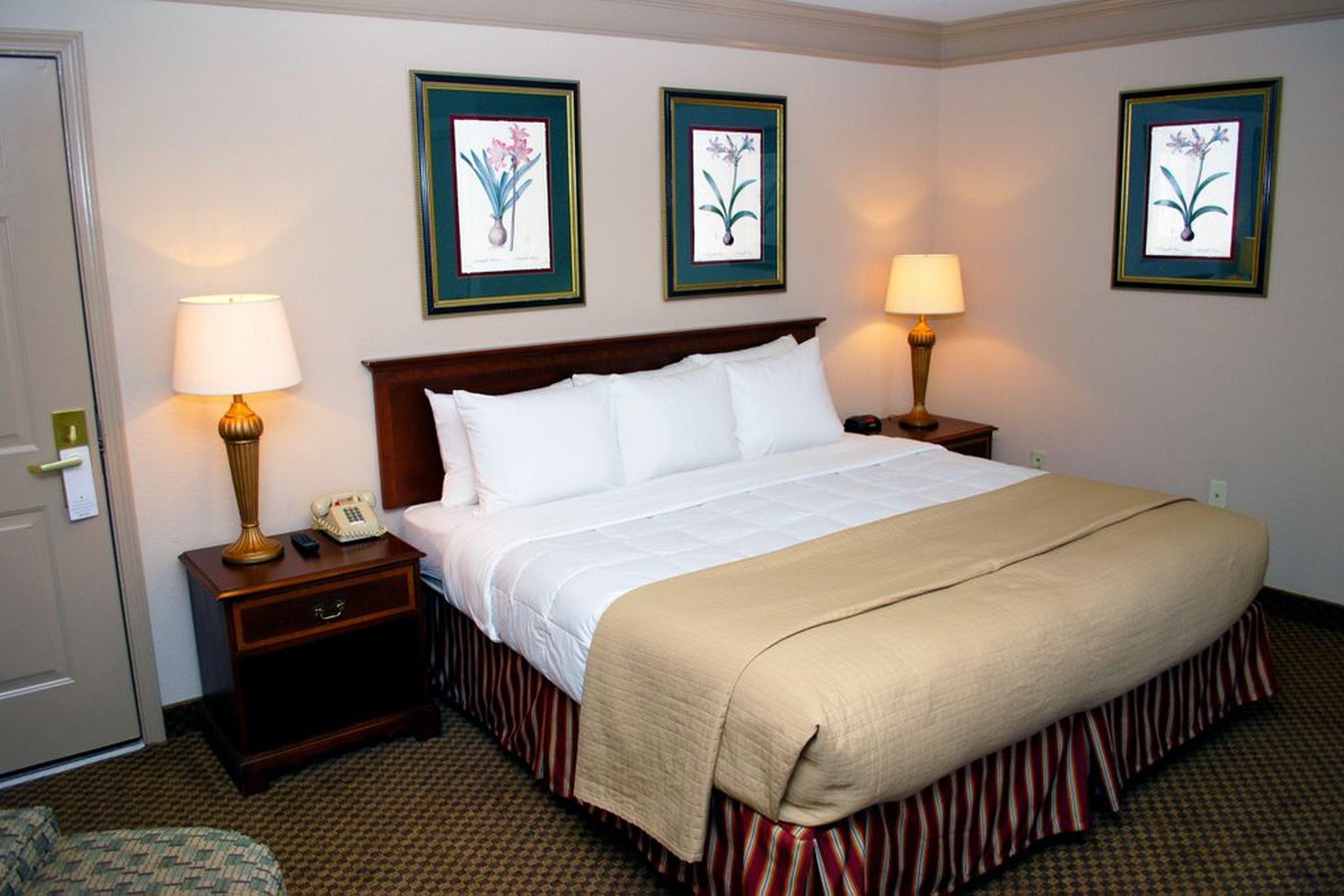 Clarion Inn & Suites Atlanta Downtown Zewnętrze zdjęcie