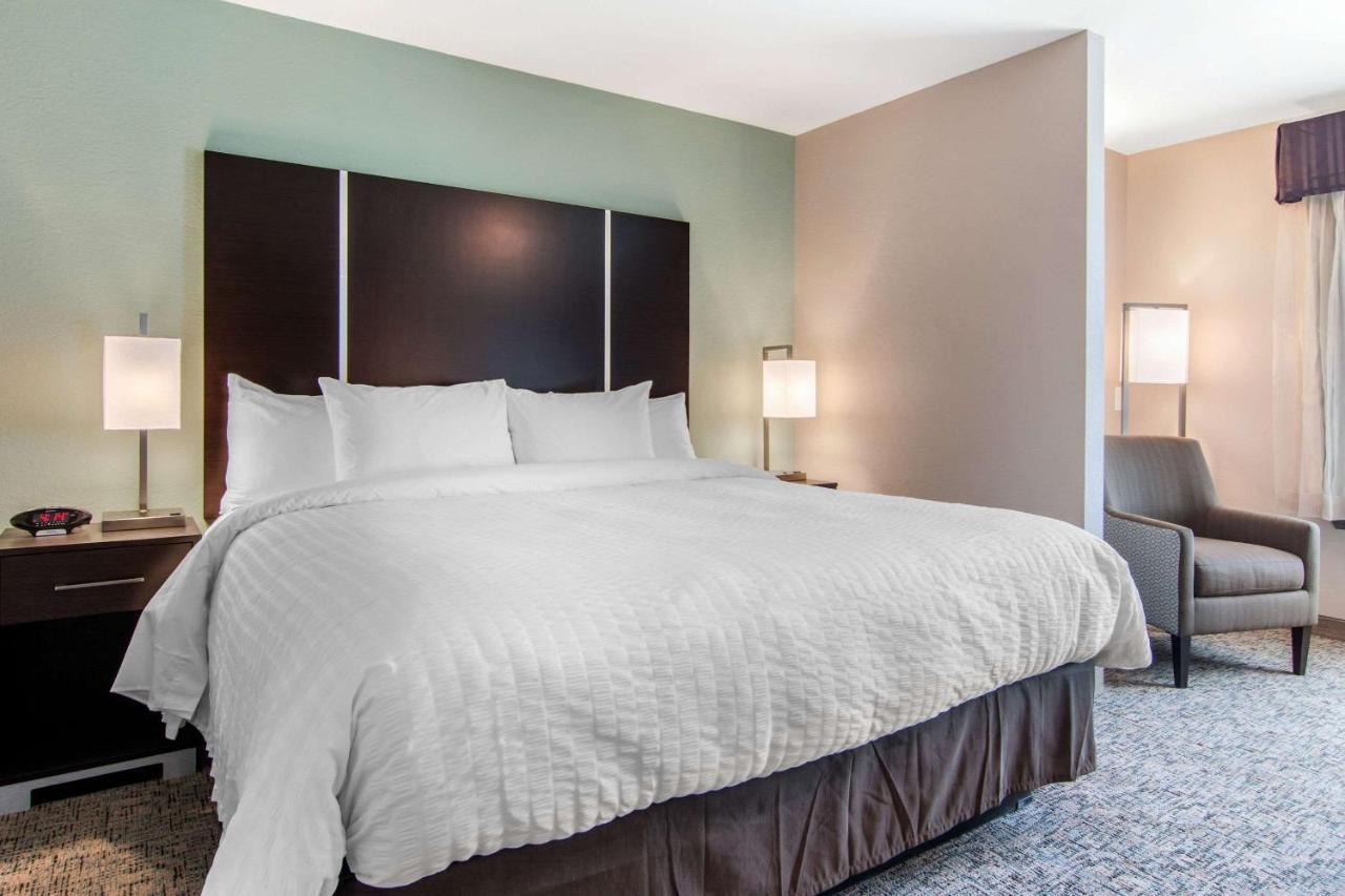 Clarion Inn & Suites Atlanta Downtown Zewnętrze zdjęcie